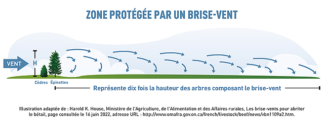 Zone protegée par un brise-vent