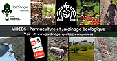 Vidéos de permaculture ou jardinage écologique