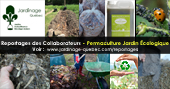 Articles sur le jardinage écologique ou la permaculture