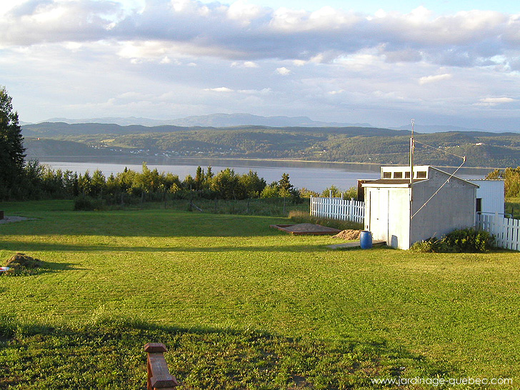 Photos Jardin Le Jardin des Patriotes - Pascal Tremblay La Baie Québec - Gazon sur le terrain arrière