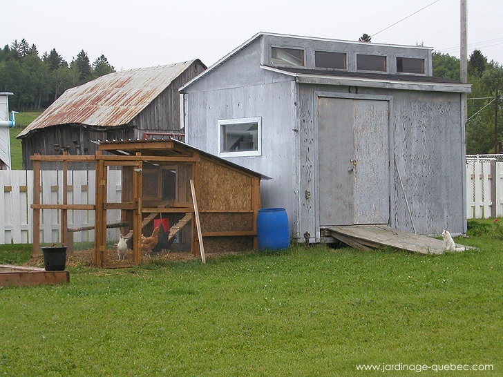 Poulailler adossé à l'abri de jardin - Photos Jardin Le Jardin des Patriotes - Pascal Tremblay La Baie Québec