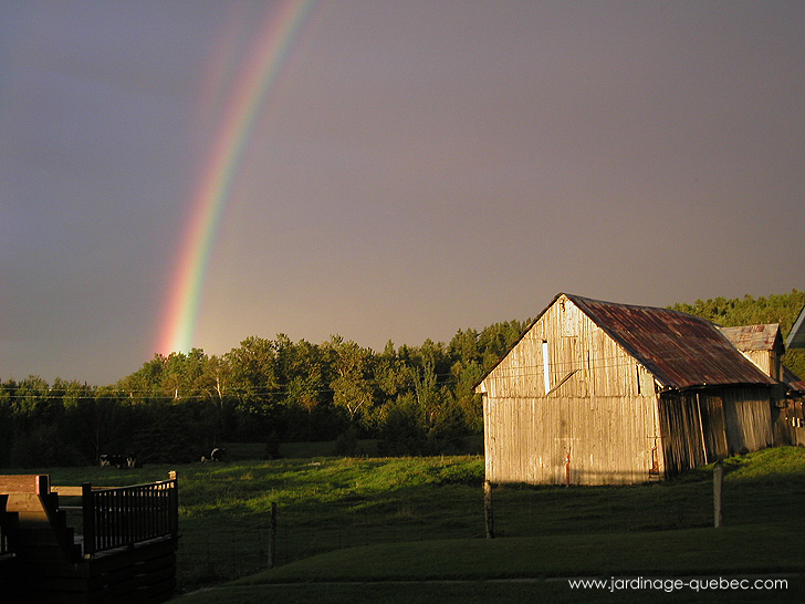 Paysage du voisinage du jardin - Photos Jardin Le Jardin des Patriotes - Pascal Tremblay La Baie Québec