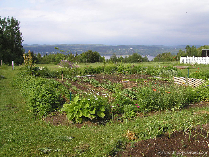 Jardin Potager - Photos Jardin Le Jardin des Patriotes - Pascal Tremblay La Baie Québec