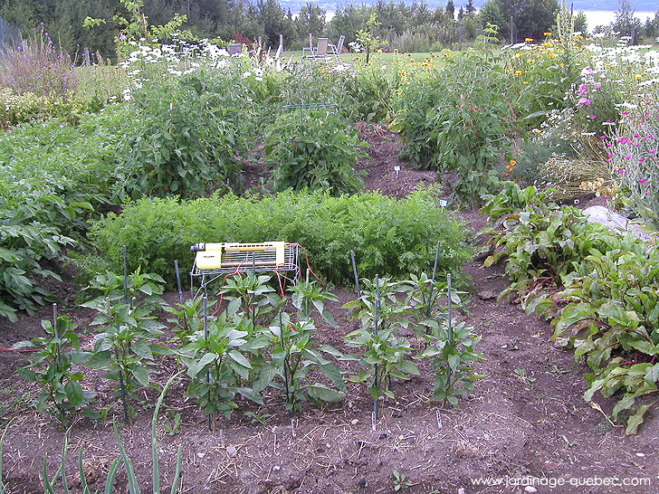 Arrosage au Jardin Potager - Photos Jardin Le Jardin des Patriotes - Pascal Tremblay La Baie Québec