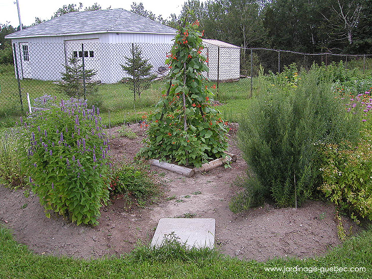 Jardin des épices et fines herbes - Photos Jardin Le Jardin des Patriotes - Pascal Tremblay La Baie Québec