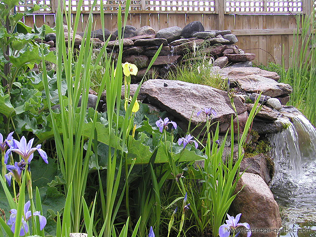 Cascade de bassin - Photos Jardin Le Jardin des Patriotes - Pascal Tremblay La Baie Québec