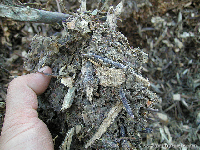 Paillis organique - Copeaux de bois - BRF - Bois raméal fragmenté
