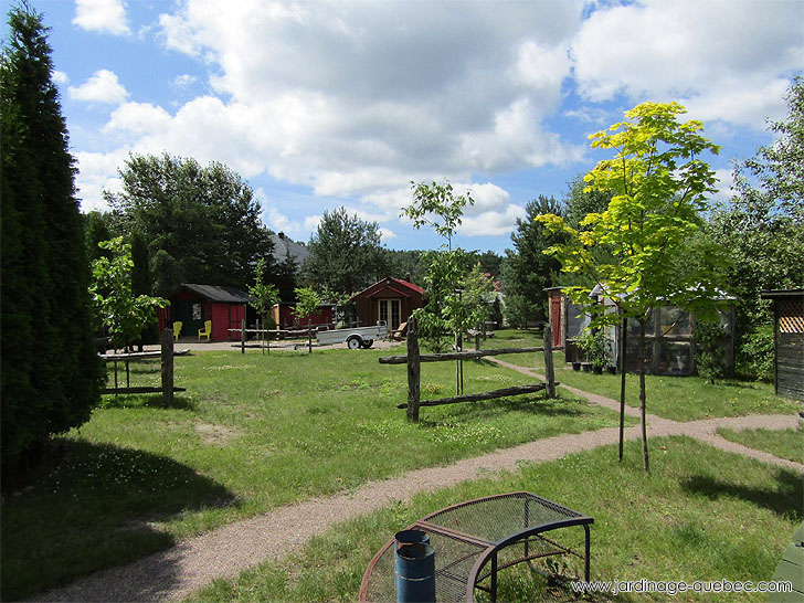 Photos Jardin Le Nouveau Monde - Serge Tremblay La Baie Québec - Au centre du jardin, arbres en croissance