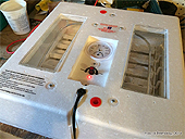 Les couveuses automatiques pour l'incubation des oeufs