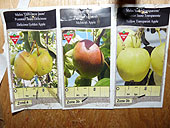 Planter un Pommier - Étapes de plantation d'un pommier au jardin