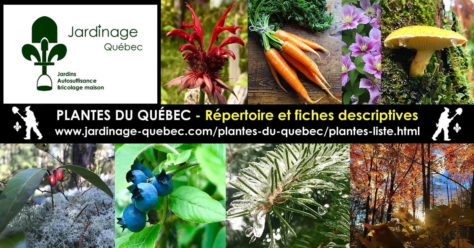 Québec Jardinage Plantes et Fleurs pour Jardins Québécois