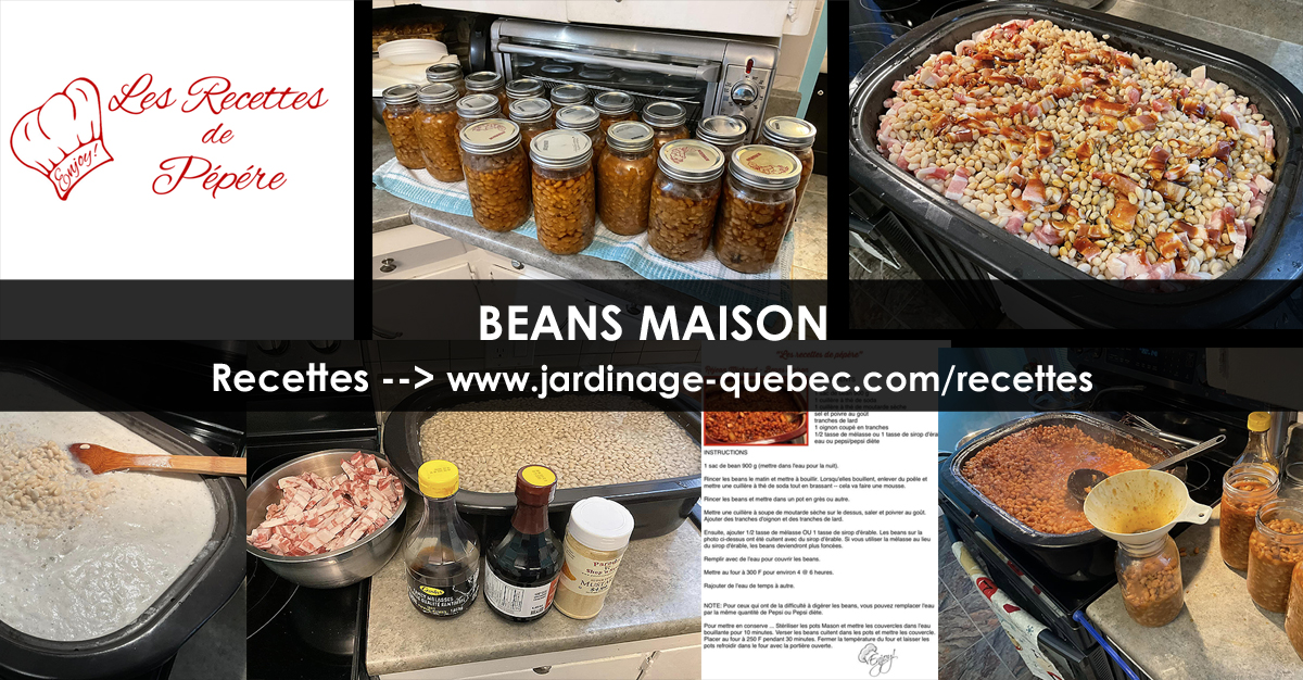 Beans maison ou fèves au lard