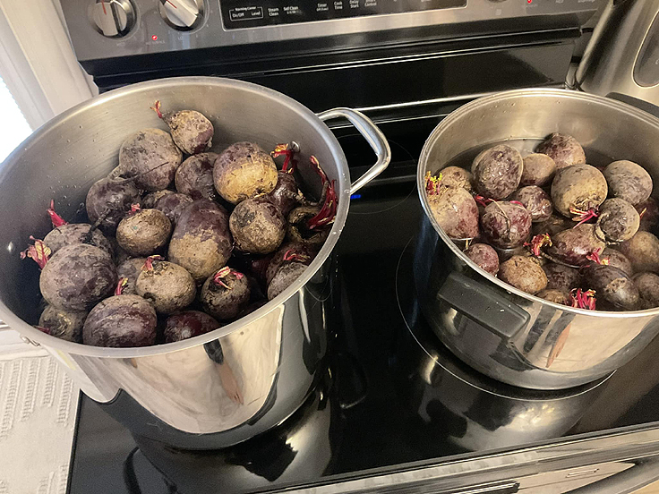 Recette de Betteraves marinées maison