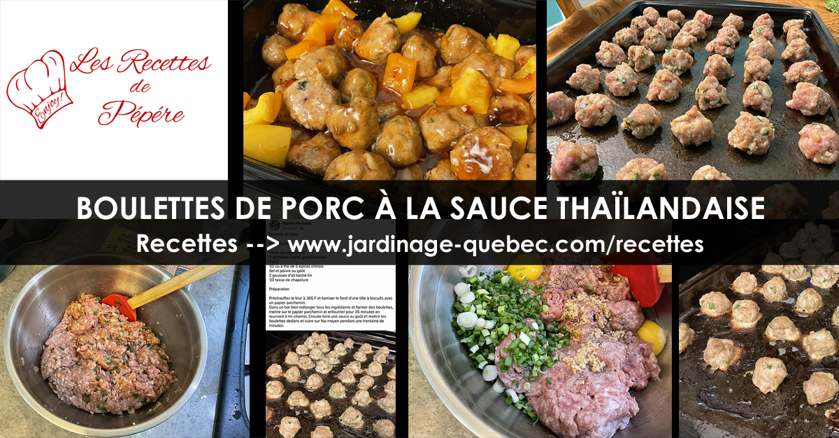 Boulettes de Porc à la Sauce Thaïlandaise