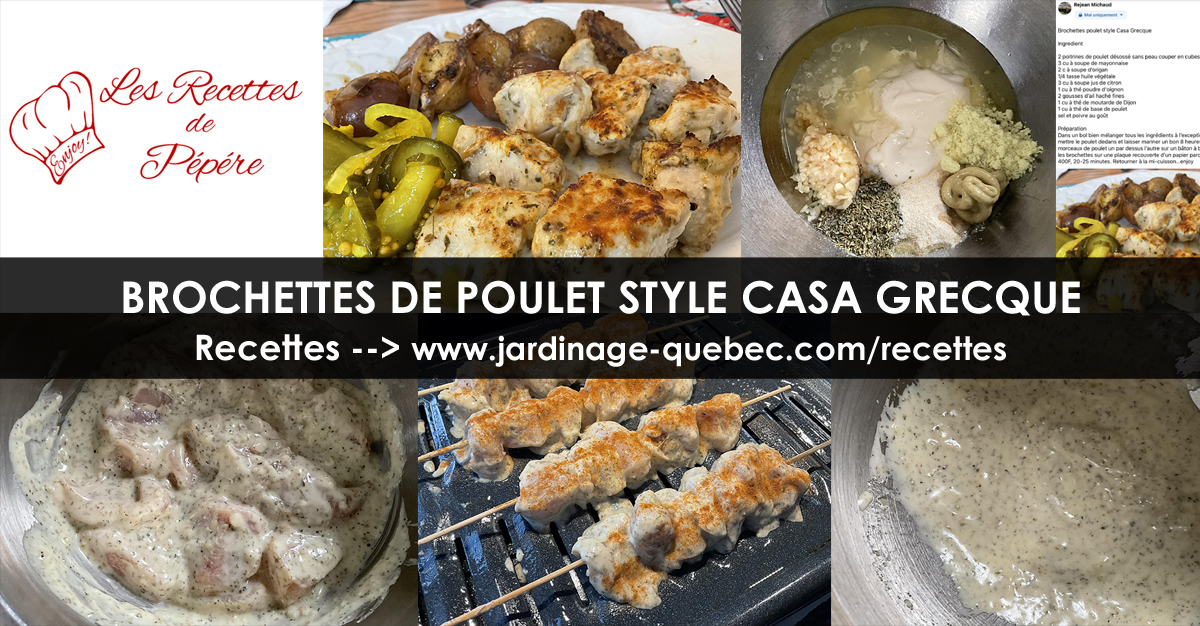 Brochettes de poulet style Casa grecque