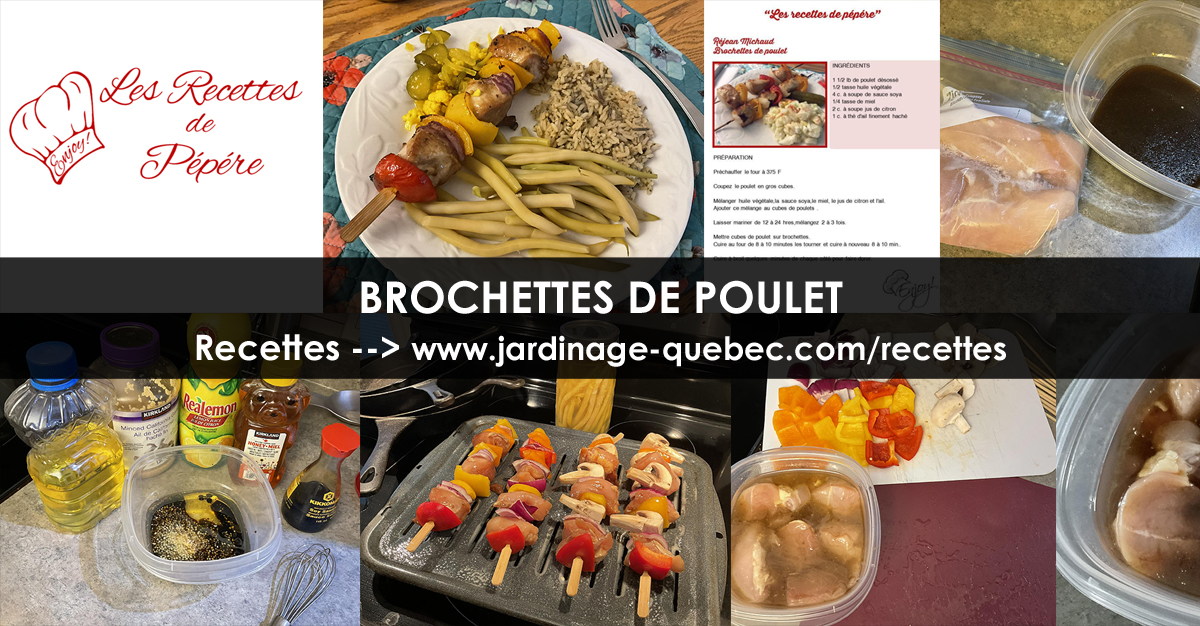 Brochettes de poulet