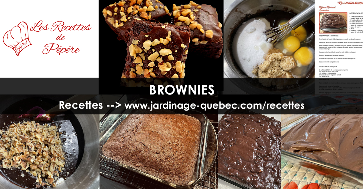 Brownies