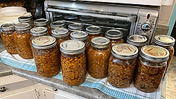 Viandes et Substituts - Recette de Beans Maison ou Fèves au lard