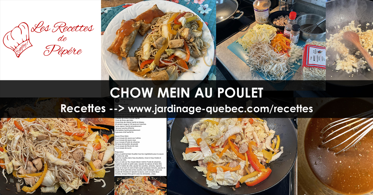 Chow Mein au Poulet