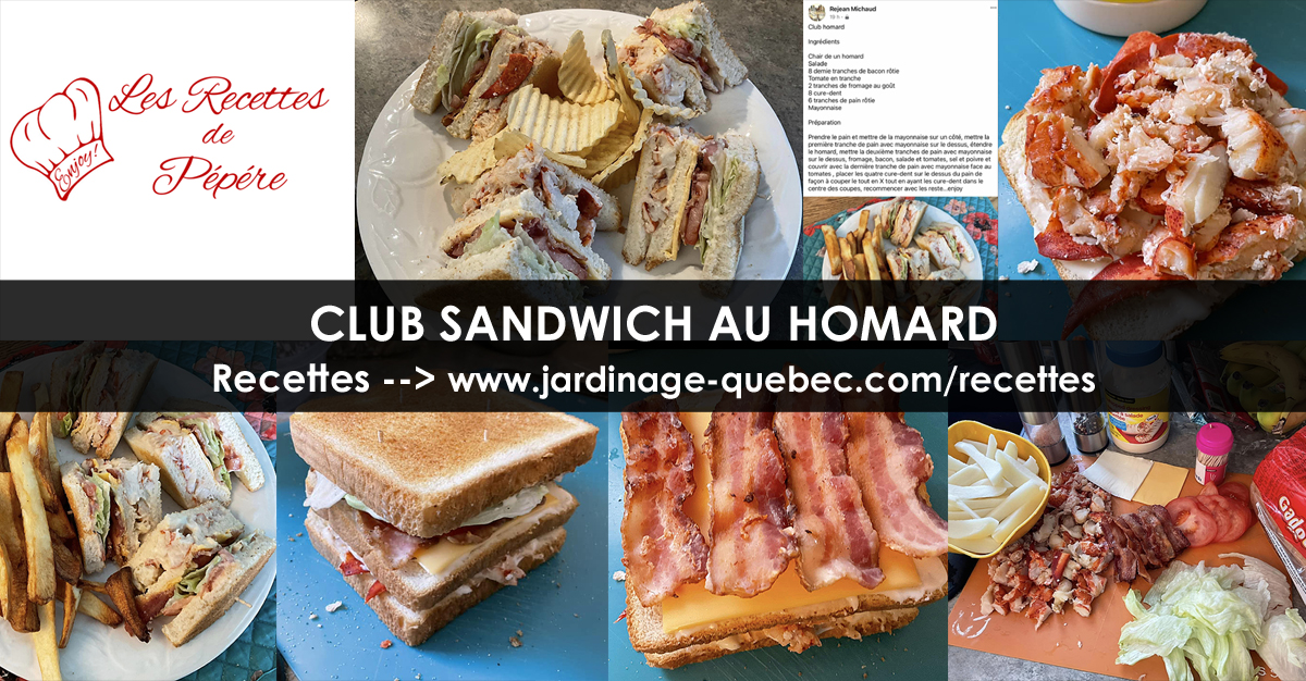 Club sandwich au homard