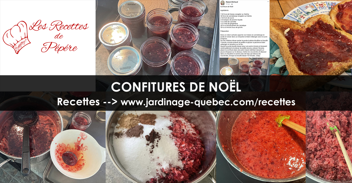 Confitures de Noël