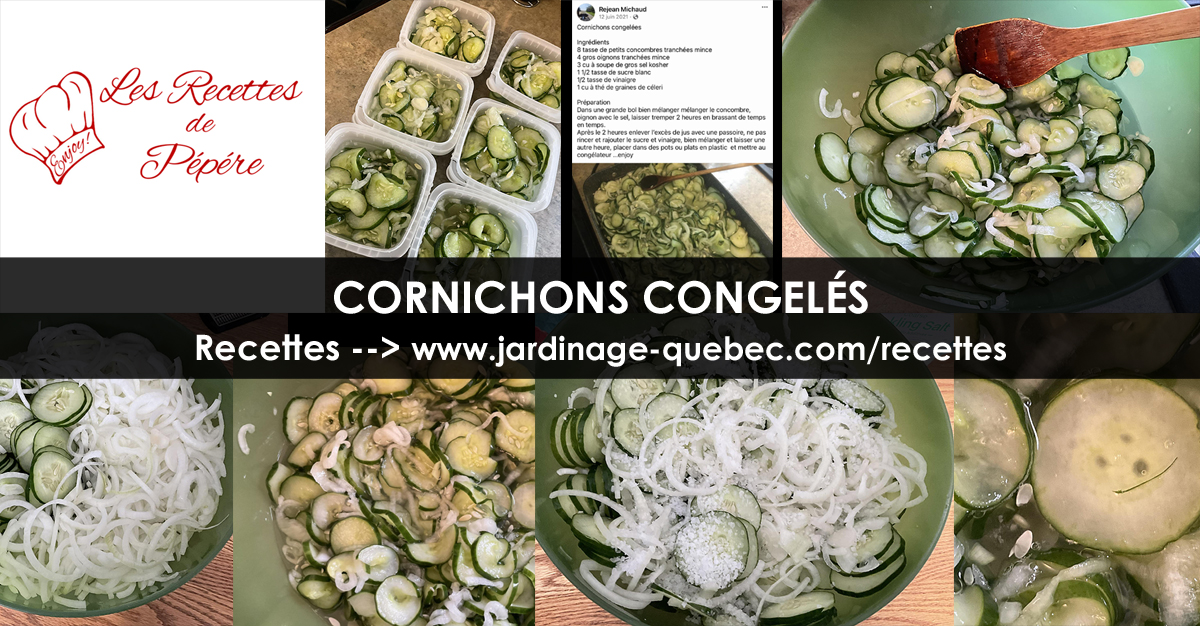 Cornichons congelés
