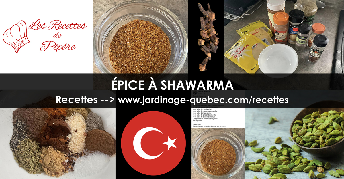 Recette d'Épice à Shawarma