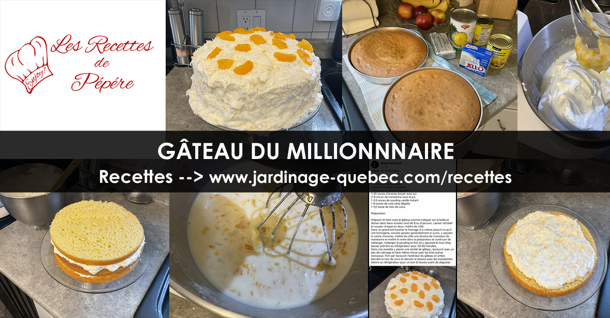 Gâteau du millionnaire