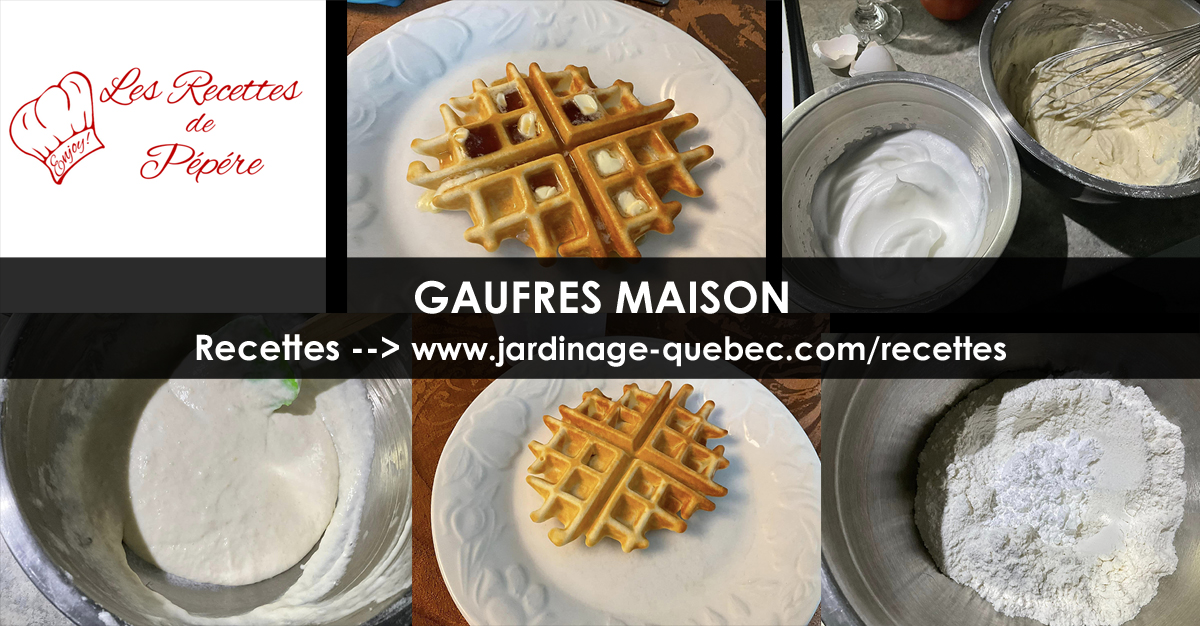 Gaufres Maison