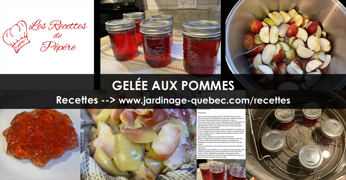 Gelée aux Pommes