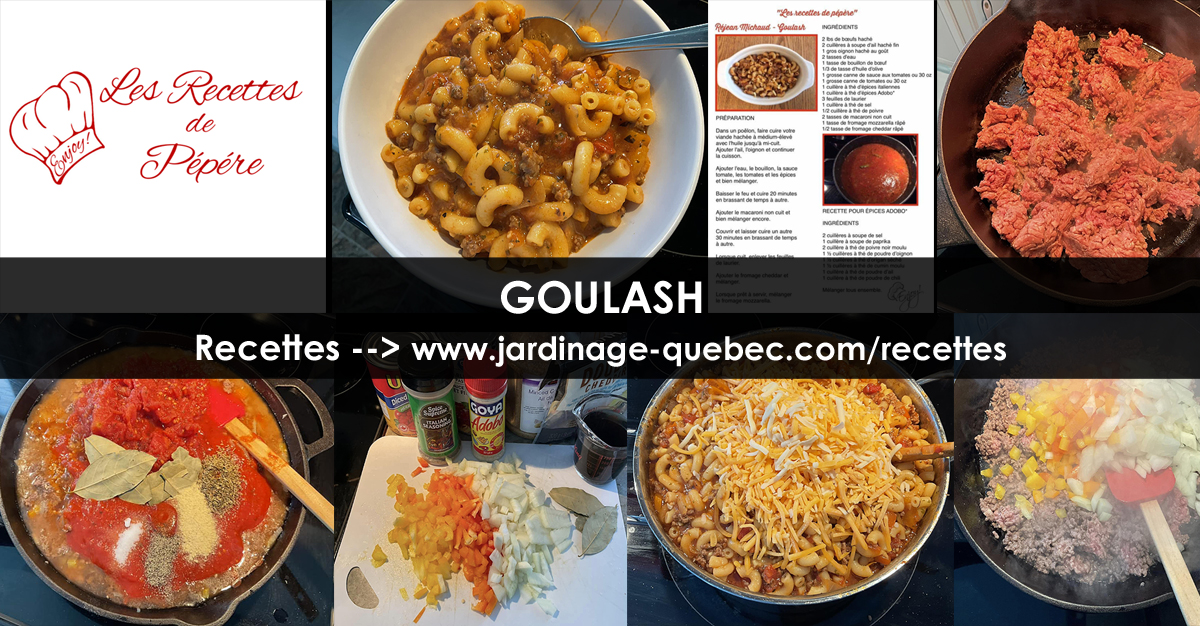 Goulash