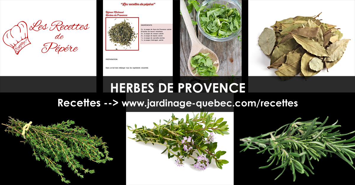 Recette d'Herbes de Provence