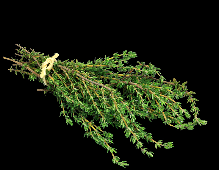 Herbes de Provence