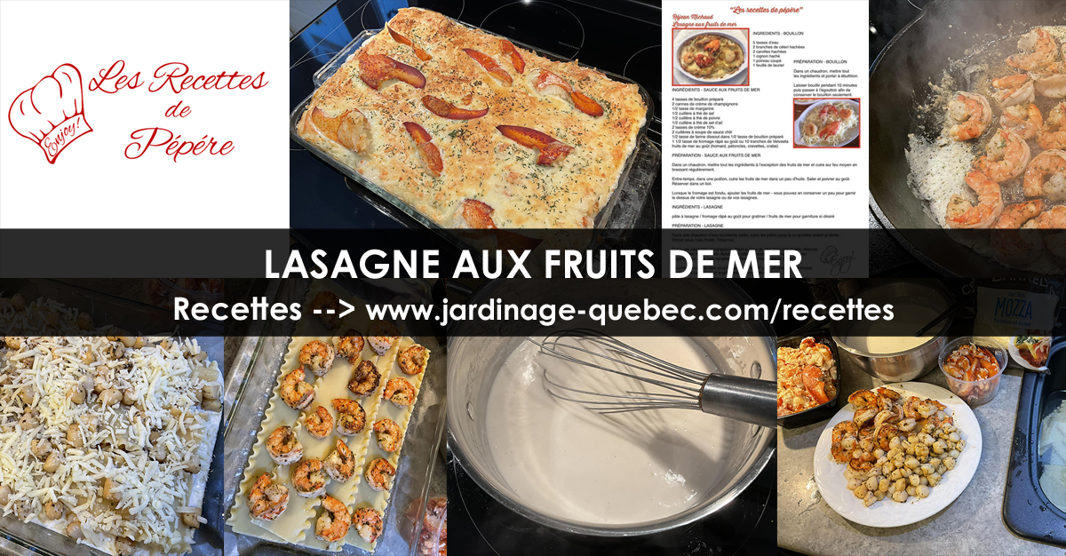 Lasagne aux fruits de mer