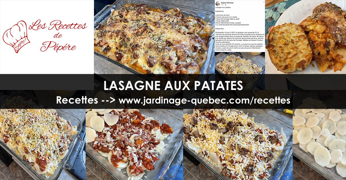 Lasagne aux patates