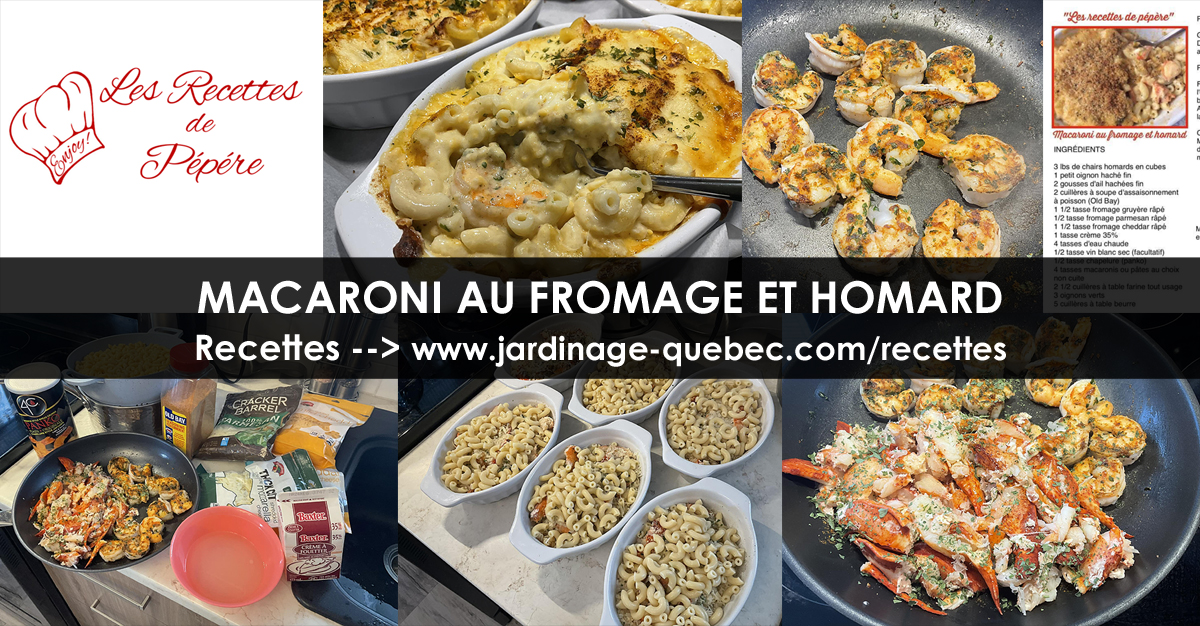 Macaroni au fromage et homard