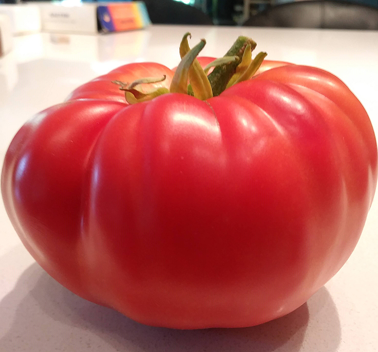 Macaroni aux tomates et à la viande hachée