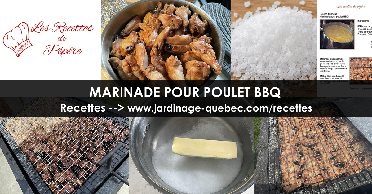 Marinade pour poulet BBQ