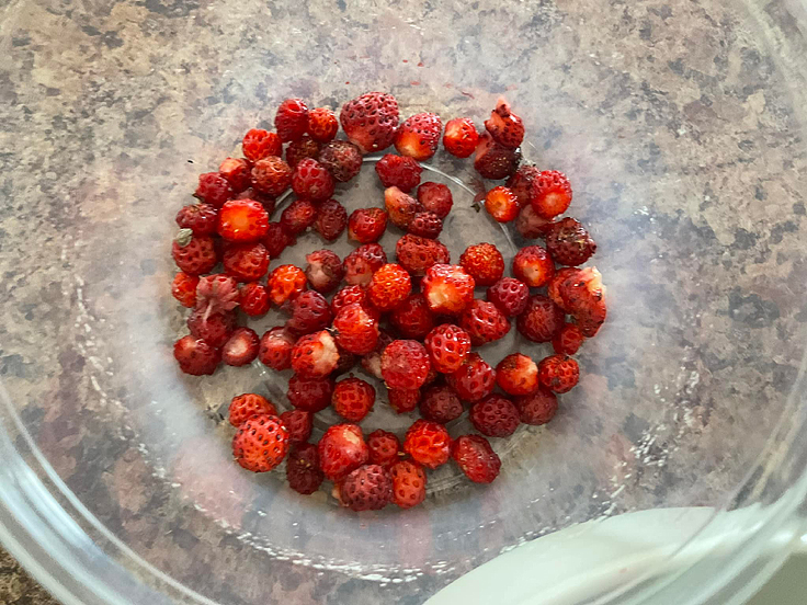 Moussse aux fraises