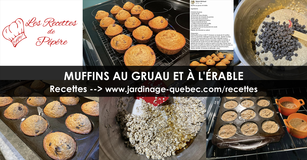 Muffins au gruau et à l'érable