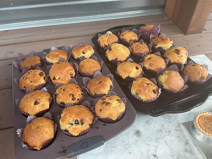 Muffins aux pépites de chocolat