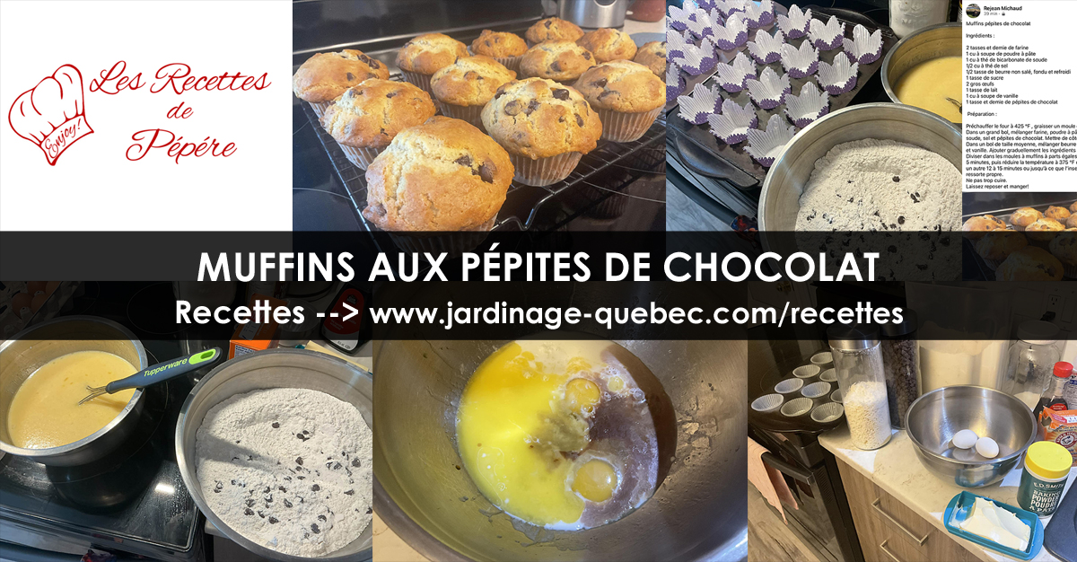 Muffins aux pépites de chocolat