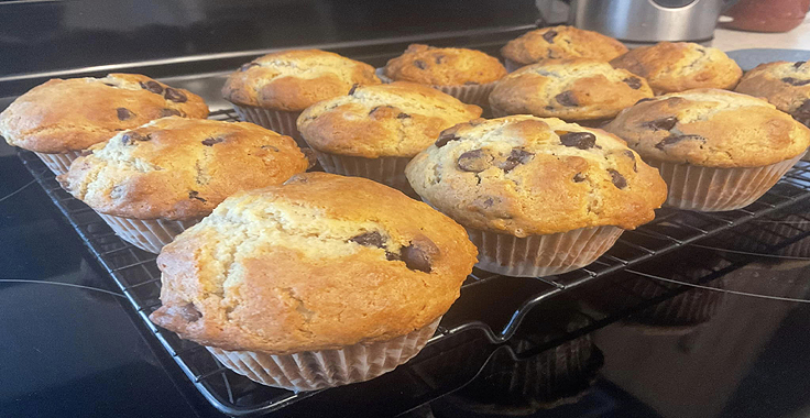 Recette de Muffins aux pépites de chocolat