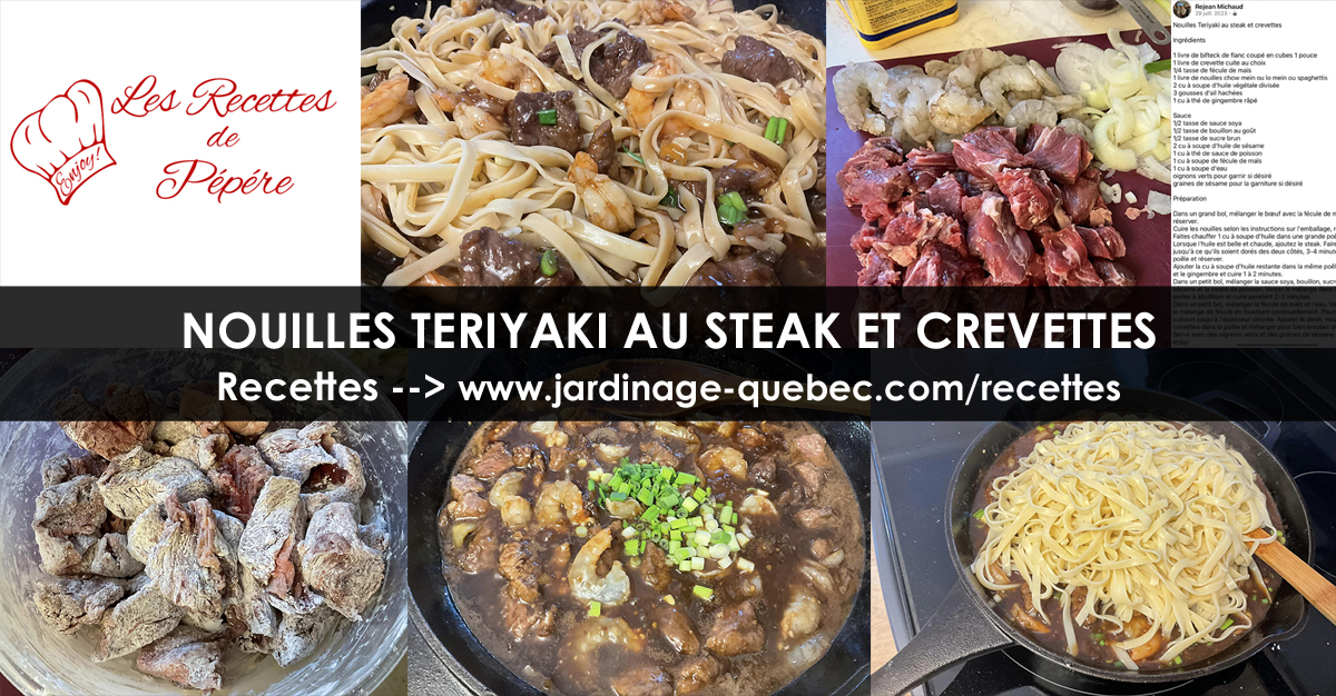 Nouilles teriyaki au steak et crevettes
