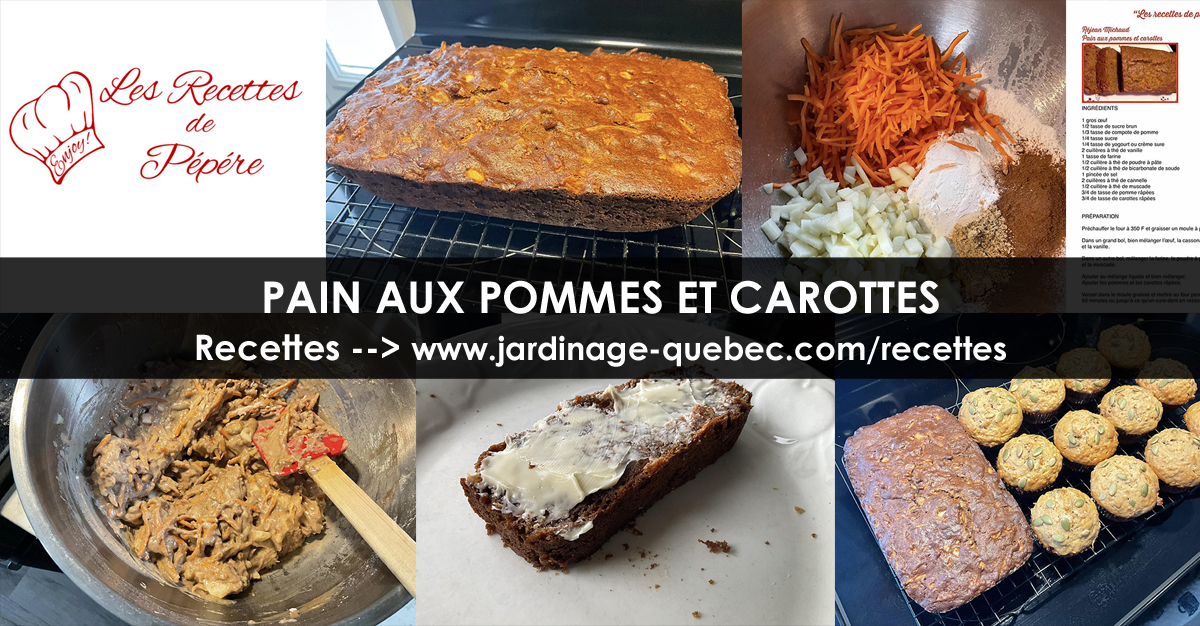 Pain aux pommes et carottes