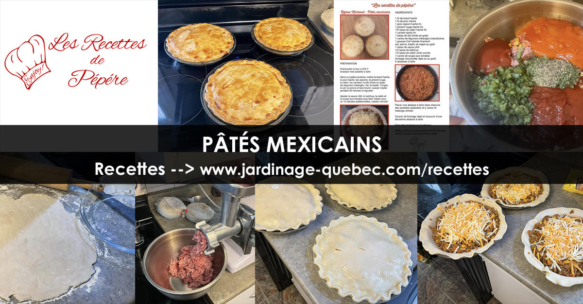 Pâtés Mexicains