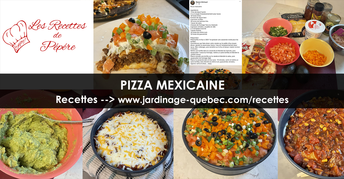 Pizza mexicaine