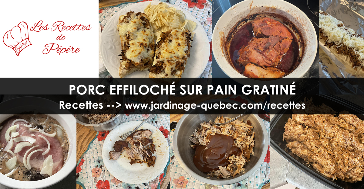 Porc effiloché sur pain gratiné