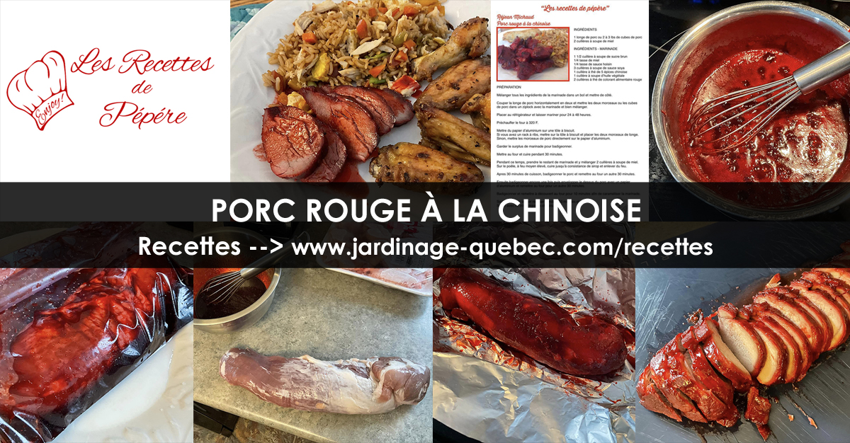 Porc rouge à la chinoise