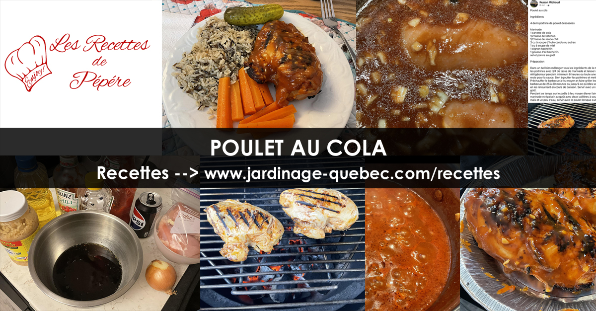 Poulet au cola